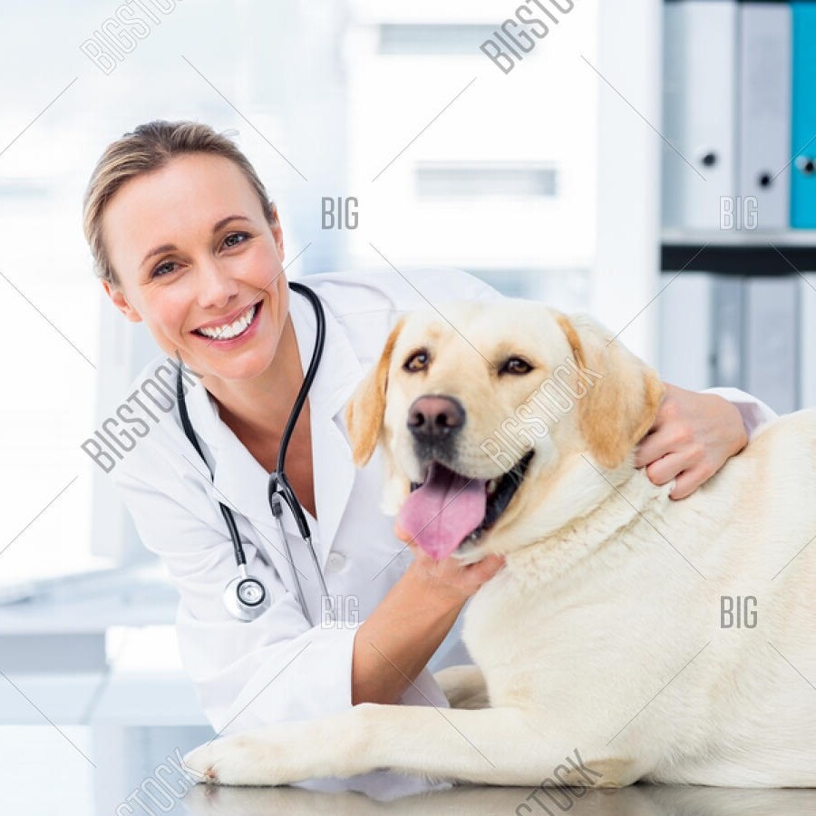 Tierärztin mit Golden-Retriever