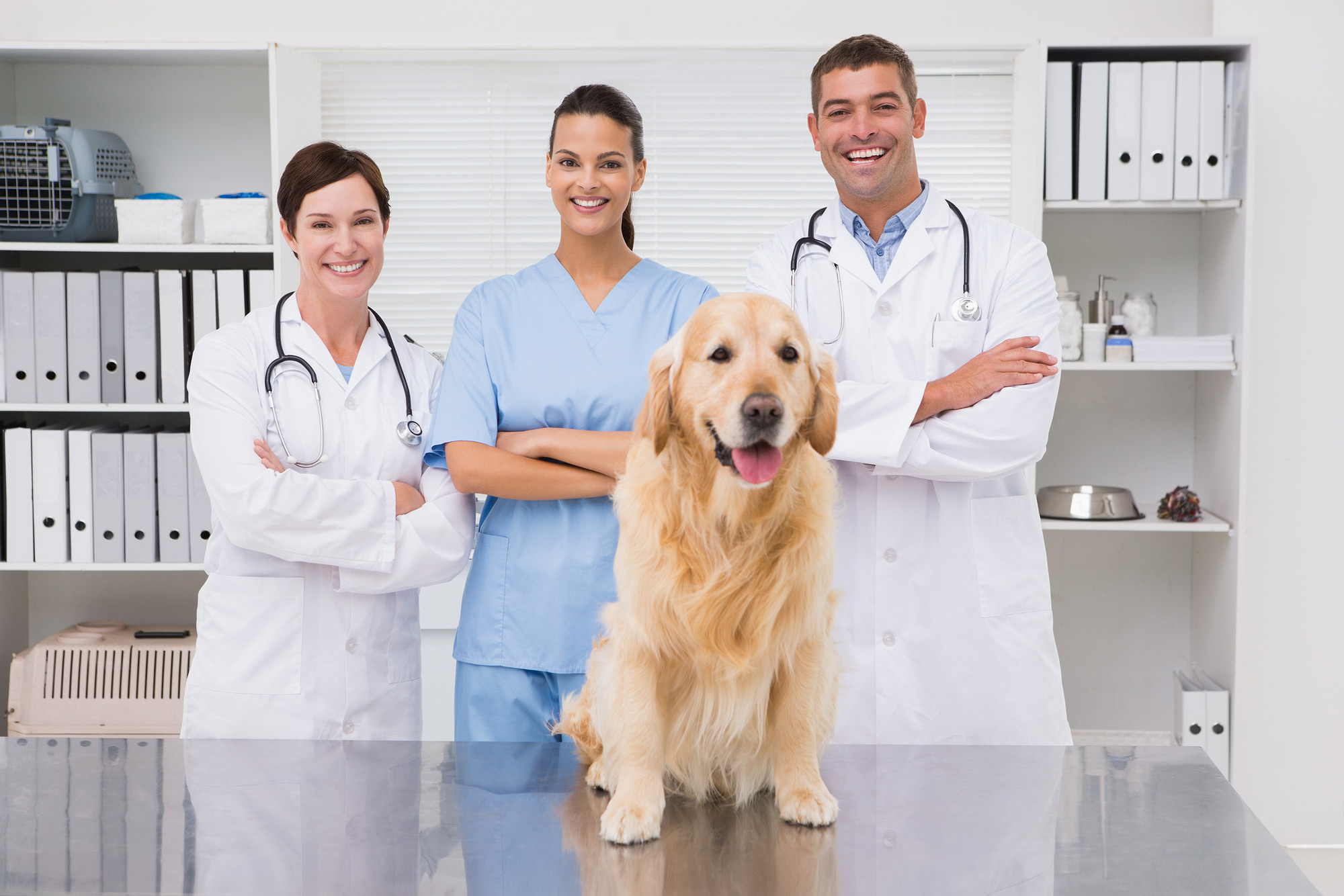 Tierärzteteam mit Hund