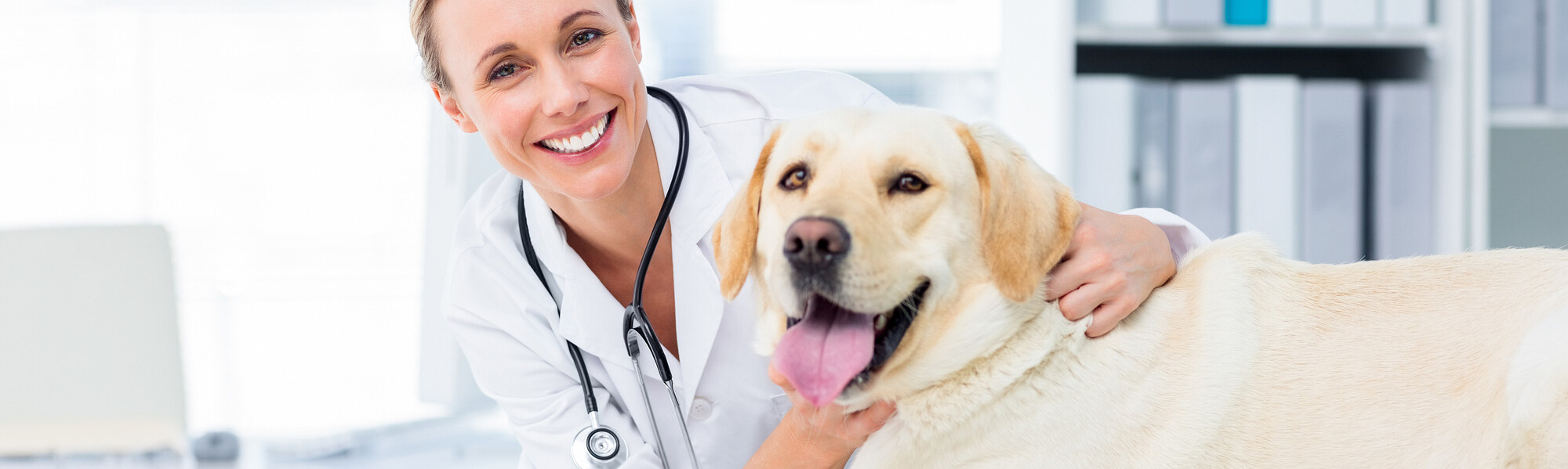 Tier&auml;rztin mit Golden-Retriever