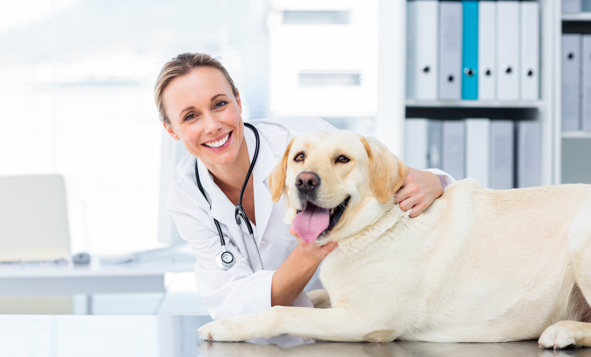 Tierärztin mit Golden-Retriever